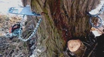 И - кровищщща по стволу!