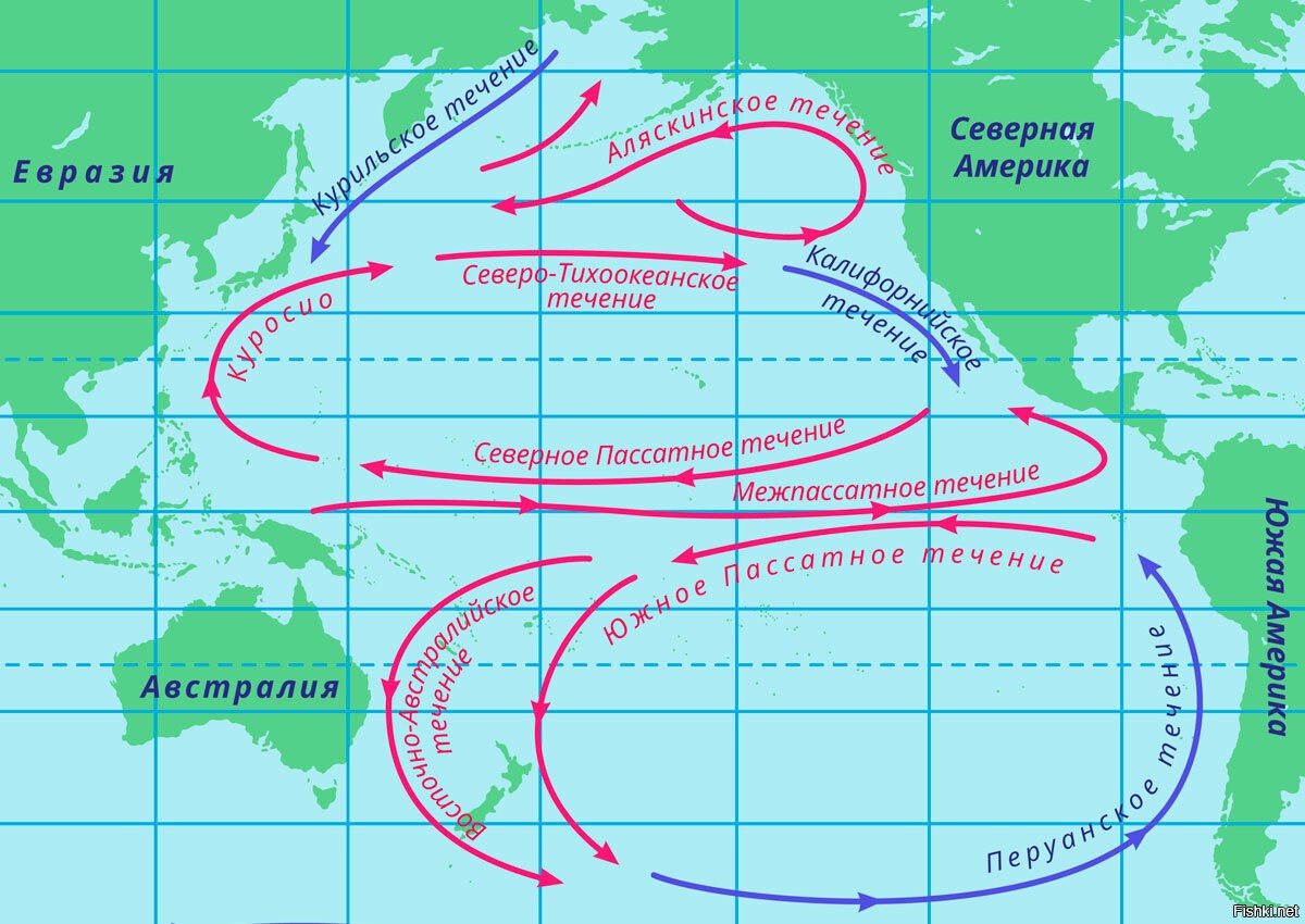 Какие течения проходят у восточных берегов. Схема течений Тихого океана. Северо Тихоокеанское течение на карте Северной Америки. Северное пассатное течение на карте. Схема поверхностных течений Тихого океана.