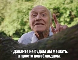 "Жесть какая-то!": жители Кривого Рога устроили давку из-за бесплатного масла и муки
