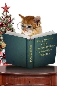 Игра в прятки редкая, новогодняя