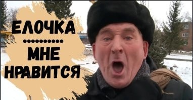 Украшаем всё и вся в последние дни декабря