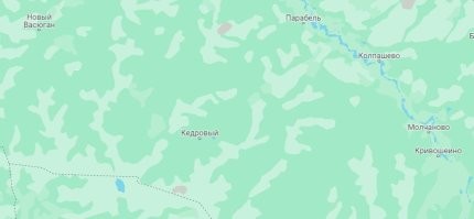 Вот поселок Кедровый, рядом - река Обь. Белок нам немерянное количество. Медведей сам не встречал, но они есть.