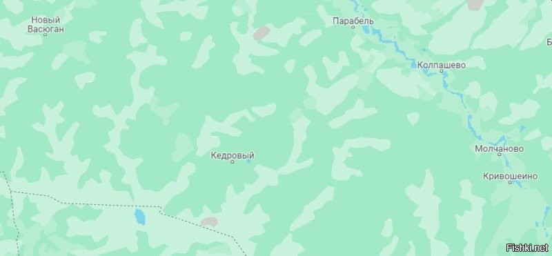 Вот поселок Кедровый, рядом - река Обь. Белок нам немерянное количество. Медведей сам не встречал, но они есть.
