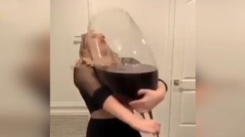 Чарка вина не убавит ума!