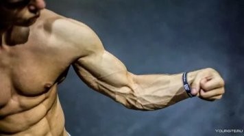 Гнуть железо под прямым углом??? Некоторые в фитнесе за это деньги платят