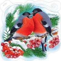 Самки снегирей отличаются от самцов серым окрасом груди! В СССР с детства вели пропаганду ЛГБТ!