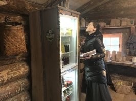 Всё, что надо знать о стерлигове.