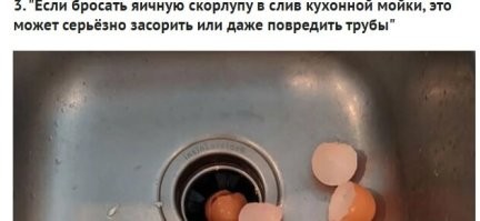 Автор не знает, что у американенов в сливах стоят турбины, которые перемалывают куриные кости и скорлупу грецких орехов!