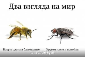 Кондитер из Сургута выпустила серию тортов, вдохновленных атмосферой угрюмой российской глубинки