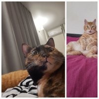 Наши бесплатные, но самые лучшие и любимые)))