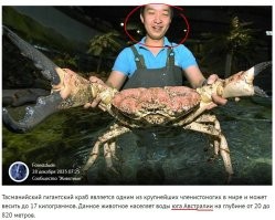 Типичный абориген  Австралии ...