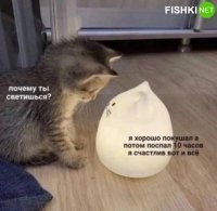 Перед словами "Я счастлив..." должна быть ещё строчка: "...а сейчас снова хорошо покушал".