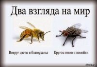 В третий раз эта картинка здесь будет, специально для вас: