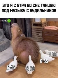 На самом  деле, ощущается слегка иначе..