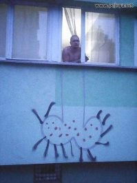 Забавные и философские надписи на стенах