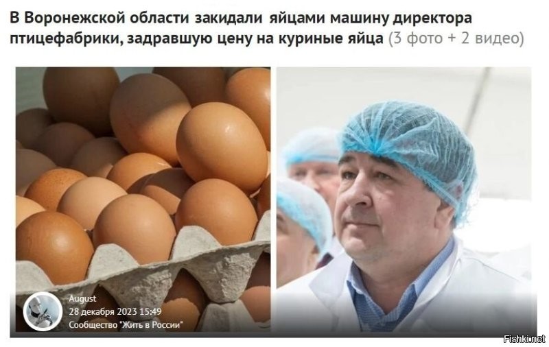 В Воронежской области обстреляли машину директора птицефабрики, задравшую цену на куриные яйца