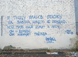 Забавные и философские надписи на стенах