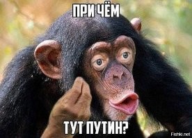 В Воронежской области обстреляли машину директора птицефабрики, задравшую цену на куриные яйца