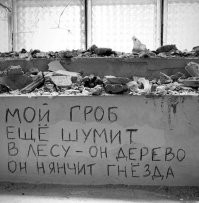 А вот это сильно!