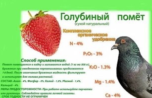 Озолотится потом!))) Сразу новую квартиру купит, эту отмывать дороже!))