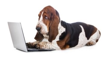 Девочке на Рождество подарили PlayStation 5. Её пёс подарок не оценил