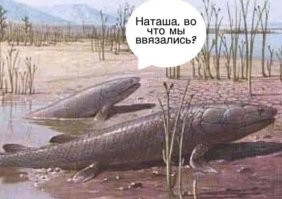 Ну... Собственно...