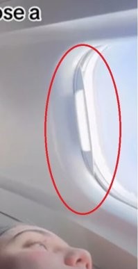 Опустила шторку и гуляй Вася, жуй опилки!