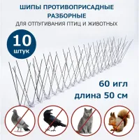 Хозяева квартиры забыли закрыть балкон и уехали на полгода