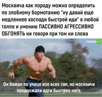 А, если, я так злобно бормочу на москвичей - какая у меня порода?