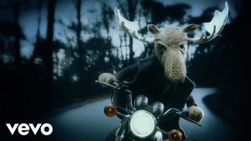 Лось отомстит . "Wild frontier" переводится как "Дикая граница"