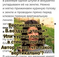 Почему курица впадает в «транс» от прямой линии перед клювом?