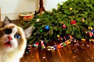 30 животных, которые точно зарядят вас новогодним настроением