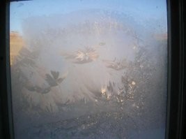 Окно в подъезде, когда уборщица полы протерла мокрой тряпкой
Не было с раннего утра, позже выхожу, в подъезде полы мокрые, сырой воздух, окно покрылось слоем льда.
Осталось раскрасить, пока не заморачивался, так что материал "сырой" . Трава, цветы, бабочки...