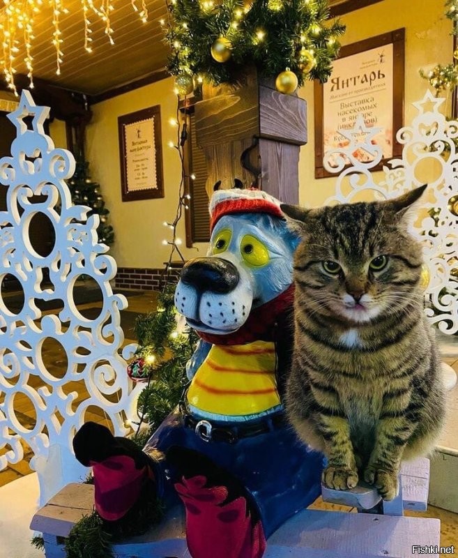 Да ладно. Животные вне гражданства и национальностей. Все чуды чудные. Вот вам наших  отечественных котов. Есть даже сторож Вечного огня.))) и даже целая ёлка из котов.!