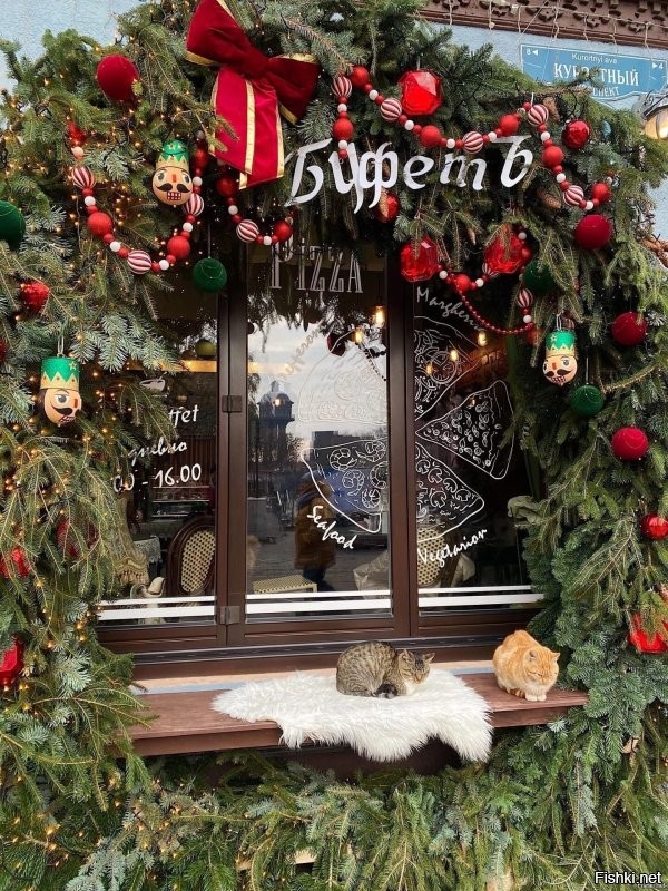Да ладно. Животные вне гражданства и национальностей. Все чуды чудные. Вот вам наших  отечественных котов. Есть даже сторож Вечного огня.))) и даже целая ёлка из котов.!
