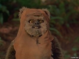 я вот таким же чебурашкой рос, кто нибудь что то скажет, так у меня неверные  сведения
