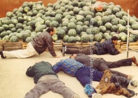 Как же великолепно этих носорогов в 90-е стелили! Почему бы традицию не вернуть?? На каком нибудь "чиркизоне" пара-тройка гамадрилов выипнется,через полчаса полсотни обоссаный асфальт носами полируют! Красота!