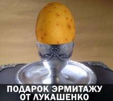 Названа причина, по которой взлетели цены на куриные яйца