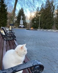 Ну знаете ли.. такой "Вечный огонь" и без снега фиг заметно. Даже не виню что снесли убираясь. Вот примерно как надо делать. на такой высоте и заметности точно не снесут по случайности. И у нас там чистят всегда аккуратно и быстро.