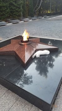 Ну знаете ли.. такой "Вечный огонь" и без снега фиг заметно. Даже не виню что снесли убираясь. Вот примерно как надо делать. на такой высоте и заметности точно не снесут по случайности. И у нас там чистят всегда аккуратно и быстро.