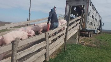 Мобилизованных украинцев отправляют на мясной фарш.