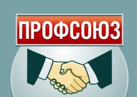 Морские львы вышли на рыбацкий бунт в Чили