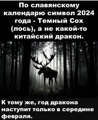 В Калужской области решили отметить наступающий год самым большим автодраконом