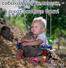 24 кадра, которые доказывают, что жизнь с кошкой - сплошная комедия