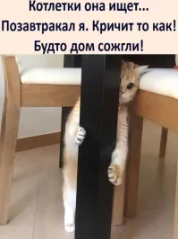 Кошка сделала праздничный вечер более запоминающимся