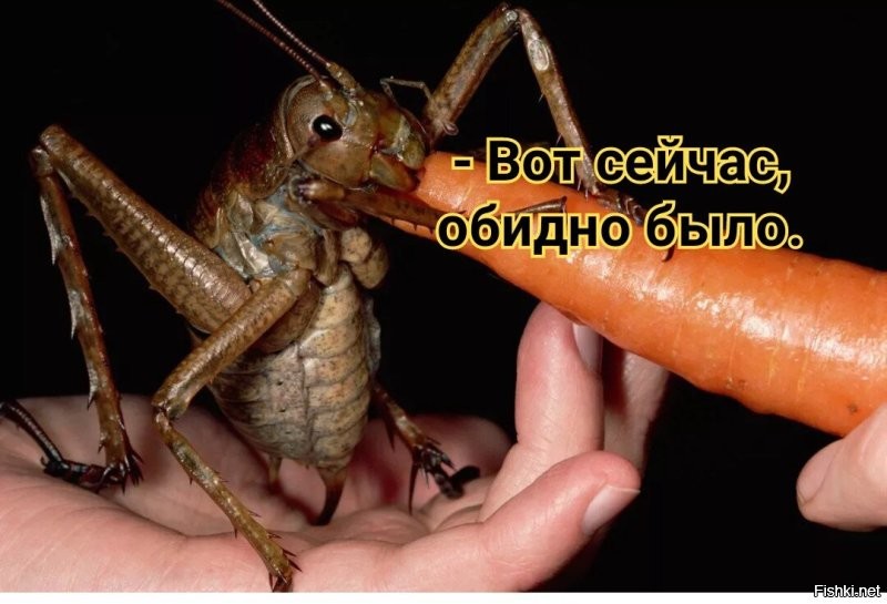 «Не верила, что когда-нибудь буду встречать Новый год без Киркорова на экране»: Екатерина Мизулина поблагодарила уходящий 2023-й за то, что он «поменял» очередных звёзд