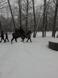 На тот НГ. Детей катали на верблюдах.
