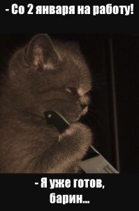 Мемы из соцсетей. Свежак за 3 января