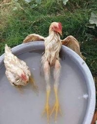 Девушка? Скорей по уму...