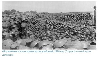 Многим не долго осталось .. что не сделала природа за миллионы лет человек добьет за пару сотен (если не быстрее .. если например Додо вспомнить)